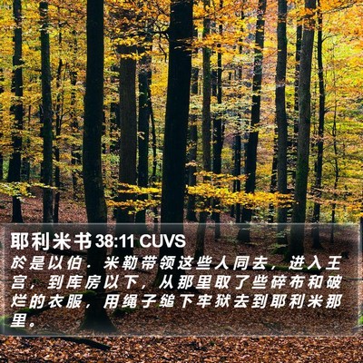 耶 利 米 书 38:11 CUVS Bible Verse Image