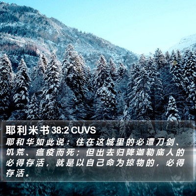 耶 利 米 书 38:2 CUVS Bible Verse Image