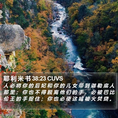 耶 利 米 书 38:23 CUVS Bible Verse Image
