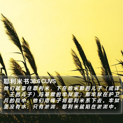 耶 利 米 书 38:6 CUVS Bible Verse Image