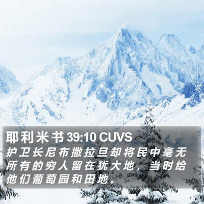 耶 利 米 书 39:10 CUVS Bible Verse Image