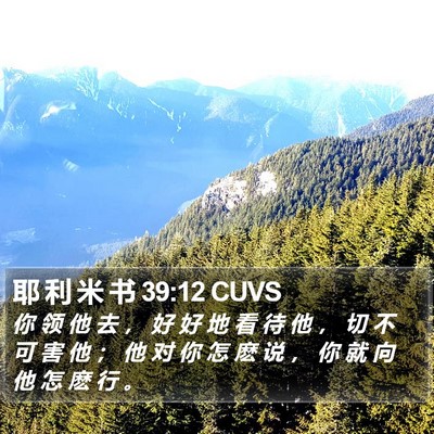 耶 利 米 书 39:12 CUVS Bible Verse Image