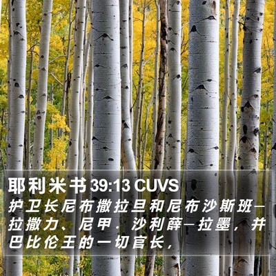 耶 利 米 书 39:13 CUVS Bible Verse Image