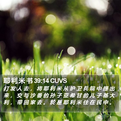 耶 利 米 书 39:14 CUVS Bible Verse Image