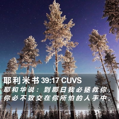 耶 利 米 书 39:17 CUVS Bible Verse Image