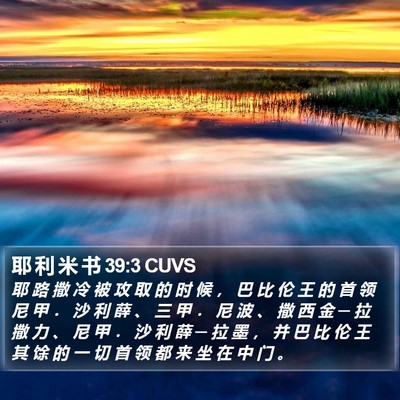 耶 利 米 书 39:3 CUVS Bible Verse Image