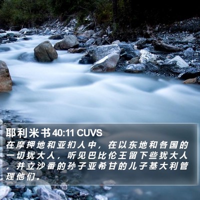 耶 利 米 书 40:11 CUVS Bible Verse Image