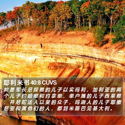 耶 利 米 书 40:8 CUVS Bible Verse Image