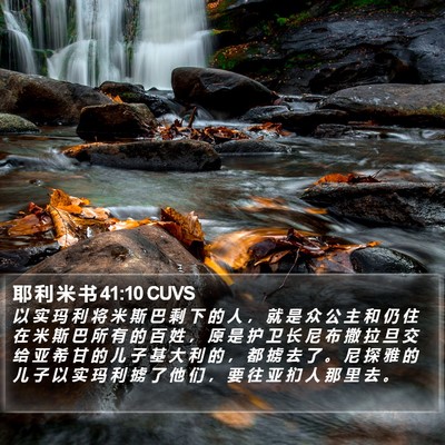 耶 利 米 书 41:10 CUVS Bible Verse Image