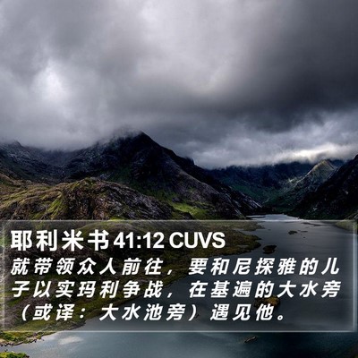 耶 利 米 书 41:12 CUVS Bible Verse Image