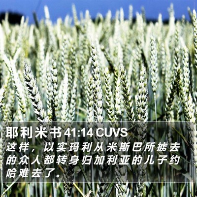 耶 利 米 书 41:14 CUVS Bible Verse Image