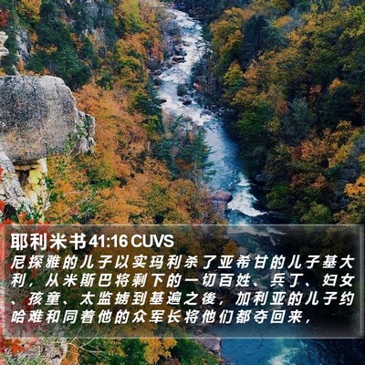 耶 利 米 书 41:16 CUVS Bible Verse Image