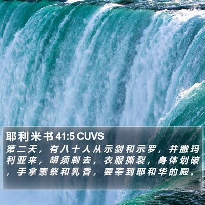 耶 利 米 书 41:5 CUVS Bible Verse Image