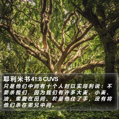 耶 利 米 书 41:8 CUVS Bible Verse Image