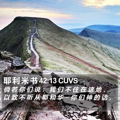 耶 利 米 书 42:13 CUVS Bible Verse Image