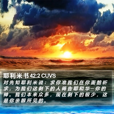 耶 利 米 书 42:2 CUVS Bible Verse Image
