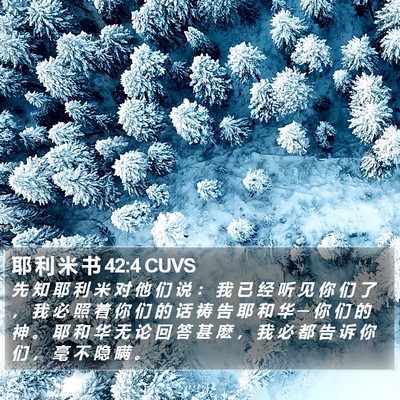耶 利 米 书 42:4 CUVS Bible Verse Image