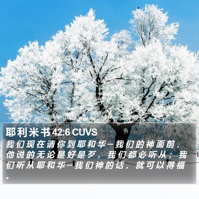 耶 利 米 书 42:6 CUVS Bible Verse Image