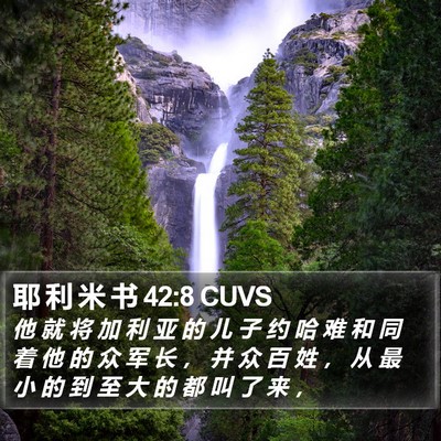 耶 利 米 书 42:8 CUVS Bible Verse Image