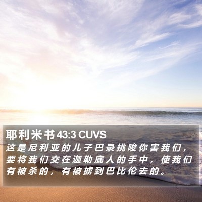 耶 利 米 书 43:3 CUVS Bible Verse Image