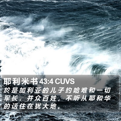 耶 利 米 书 43:4 CUVS Bible Verse Image