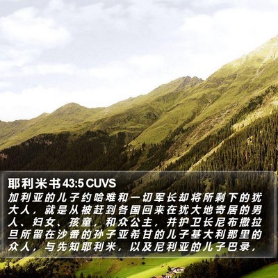 耶 利 米 书 43:5 CUVS Bible Verse Image
