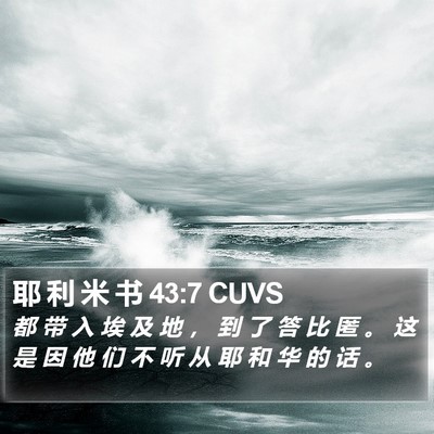 耶 利 米 书 43:7 CUVS Bible Verse Image