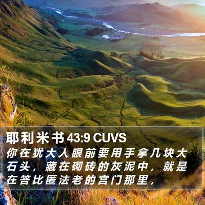 耶 利 米 书 43:9 CUVS Bible Verse Image