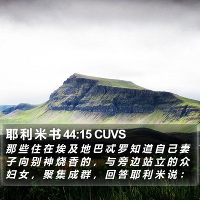 耶 利 米 书 44:15 CUVS Bible Verse Image