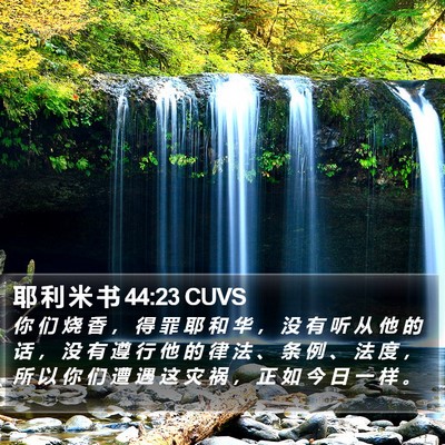 耶 利 米 书 44:23 CUVS Bible Verse Image