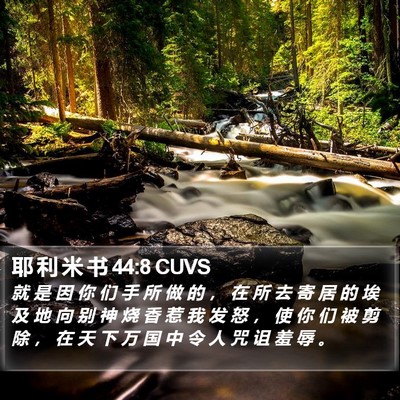 耶 利 米 书 44:8 CUVS Bible Verse Image