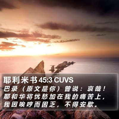 耶 利 米 书 45:3 CUVS Bible Verse Image