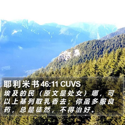 耶 利 米 书 46:11 CUVS Bible Verse Image