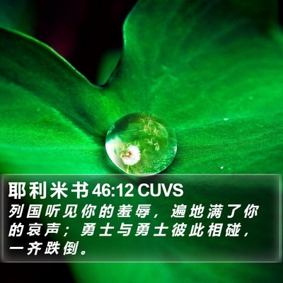 耶 利 米 书 46:12 CUVS Bible Verse Image