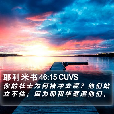 耶 利 米 书 46:15 CUVS Bible Verse Image