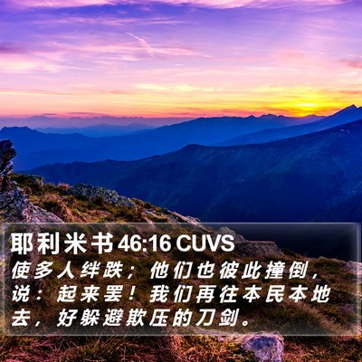 耶 利 米 书 46:16 CUVS Bible Verse Image