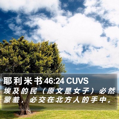 耶 利 米 书 46:24 CUVS Bible Verse Image