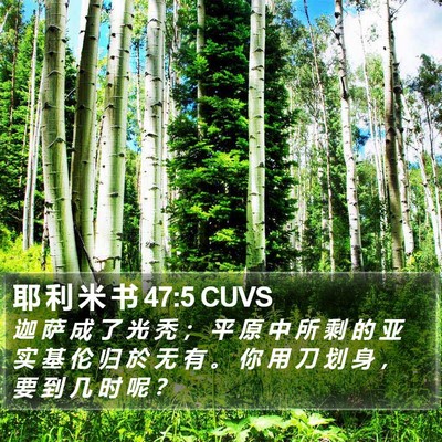 耶 利 米 书 47:5 CUVS Bible Verse Image