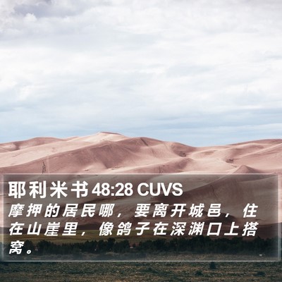 耶 利 米 书 48:28 CUVS Bible Verse Image