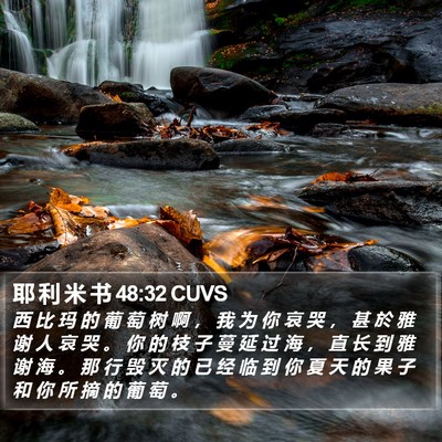 耶 利 米 书 48:32 CUVS Bible Verse Image