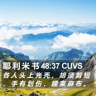 耶 利 米 书 48:37 CUVS Bible Verse Image