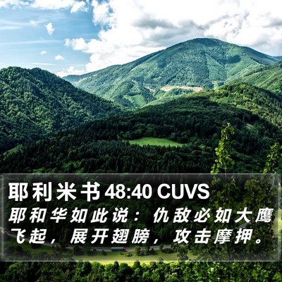 耶 利 米 书 48:40 CUVS Bible Verse Image