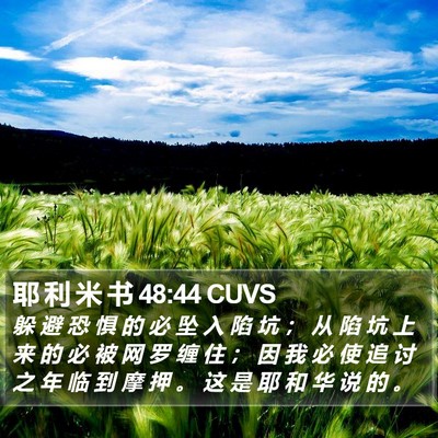 耶 利 米 书 48:44 CUVS Bible Verse Image