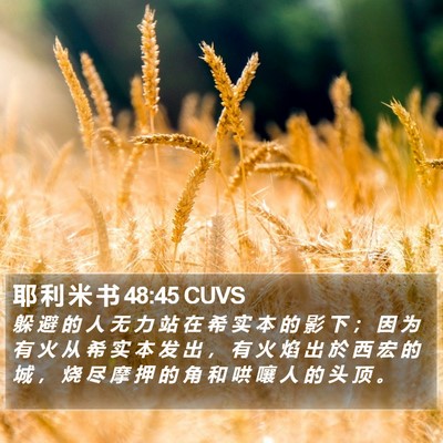 耶 利 米 书 48:45 CUVS Bible Verse Image
