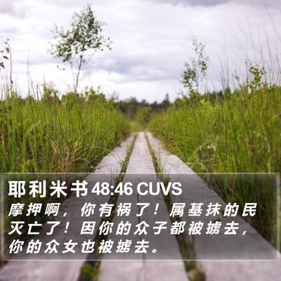 耶 利 米 书 48:46 CUVS Bible Verse Image