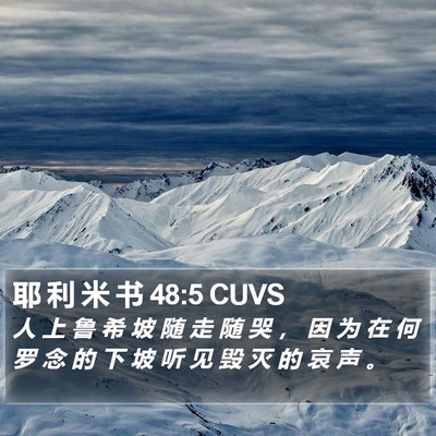 耶 利 米 书 48:5 CUVS Bible Verse Image