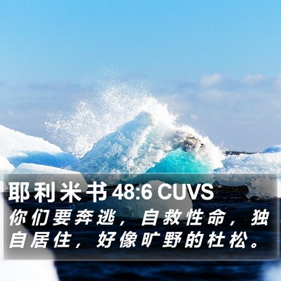 耶 利 米 书 48:6 CUVS Bible Verse Image