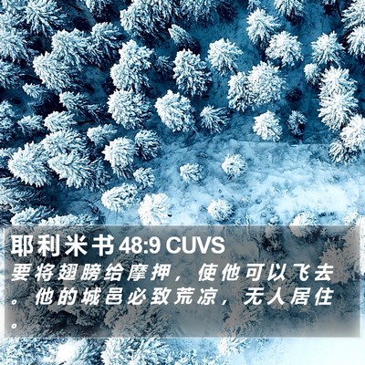 耶 利 米 书 48:9 CUVS Bible Verse Image