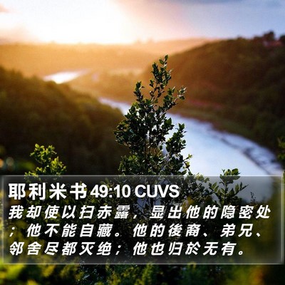 耶 利 米 书 49:10 CUVS Bible Verse Image