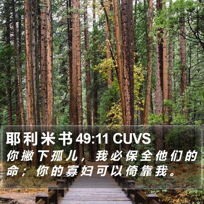 耶 利 米 书 49:11 CUVS Bible Verse Image